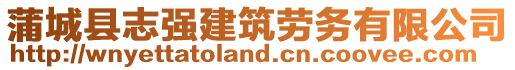 蒲城縣志強建筑勞務有限公司