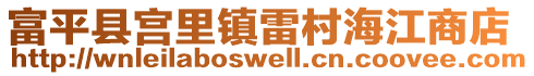 富平縣宮里鎮(zhèn)雷村海江商店