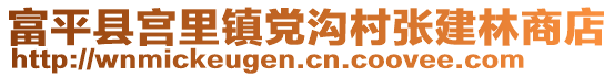 富平縣宮里鎮(zhèn)黨溝村張建林商店