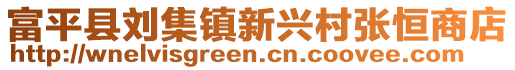 富平县刘集镇新兴村张恒商店