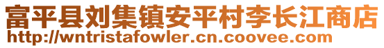 富平縣劉集鎮(zhèn)安平村李長江商店