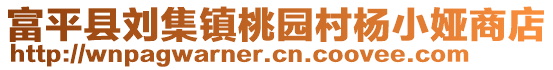 富平縣劉集鎮(zhèn)桃園村楊小婭商店