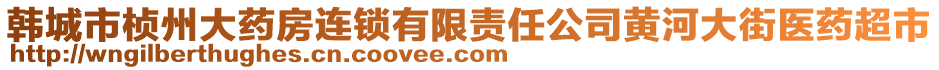 韓城市楨州大藥房連鎖有限責任公司黃河大街醫(yī)藥超市