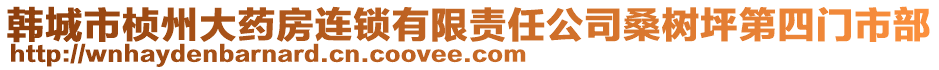 韓城市楨州大藥房連鎖有限責(zé)任公司桑樹坪第四門市部