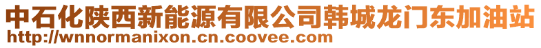 中石化陜西新能源有限公司韓城龍門東加油站