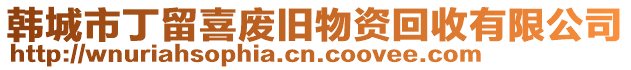 韓城市丁留喜廢舊物資回收有限公司