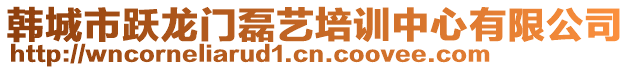 韓城市躍龍門磊藝培訓(xùn)中心有限公司