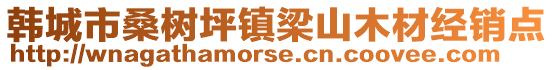 韩城市桑树坪镇梁山木材经销点