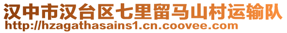 漢中市漢臺區(qū)七里留馬山村運輸隊