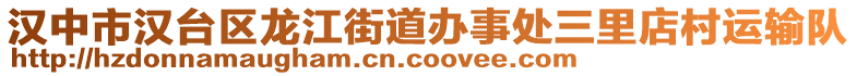 漢中市漢臺區(qū)龍江街道辦事處三里店村運(yùn)輸隊(duì)