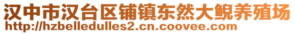 漢中市漢臺區(qū)鋪鎮(zhèn)東然大鯢養(yǎng)殖場