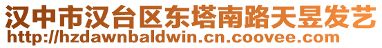 漢中市漢臺(tái)區(qū)東塔南路天昱發(fā)藝