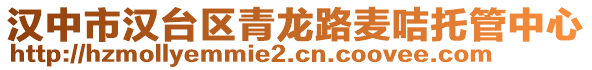 漢中市漢臺區(qū)青龍路麥咭托管中心