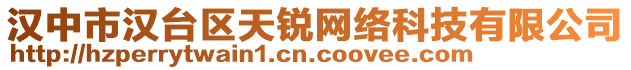 漢中市漢臺區(qū)天銳網絡科技有限公司