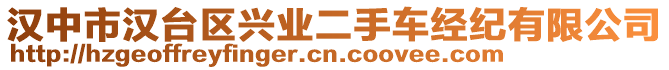 漢中市漢臺(tái)區(qū)興業(yè)二手車(chē)經(jīng)紀(jì)有限公司