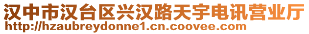 漢中市漢臺區(qū)興漢路天宇電訊營業(yè)廳