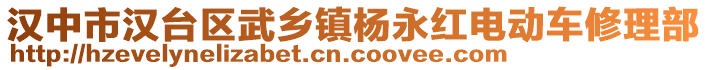 漢中市漢臺區(qū)武鄉(xiāng)鎮(zhèn)楊永紅電動車修理部