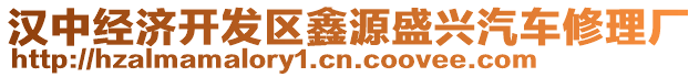 漢中經(jīng)濟開發(fā)區(qū)鑫源盛興汽車修理廠