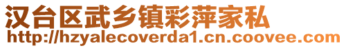 漢臺(tái)區(qū)武鄉(xiāng)鎮(zhèn)彩萍家私