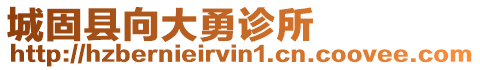 城固縣向大勇診所