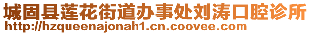 城固縣蓮花街道辦事處劉濤口腔診所