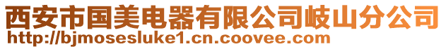西安市國美電器有限公司岐山分公司