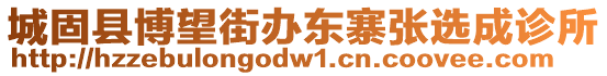 城固縣博望街辦東寨張選成診所