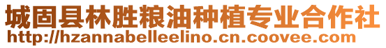 城固縣林勝糧油種植專業合作社