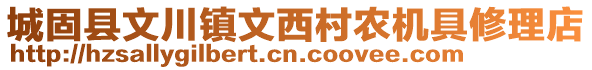 城固縣文川鎮(zhèn)文西村農(nóng)機(jī)具修理店