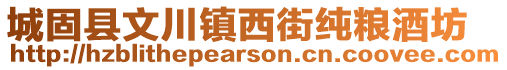 城固縣文川鎮西街純糧酒坊