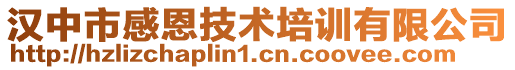 汉中市感恩技术培训有限公司