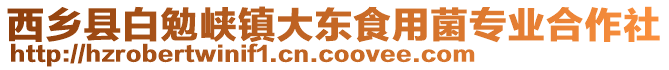 西乡县白勉峡镇大东食用菌专业合作社