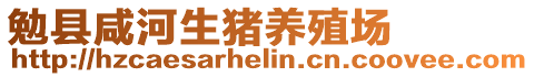 勉縣咸河生豬養(yǎng)殖場