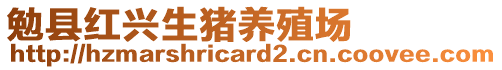 勉縣紅興生豬養(yǎng)殖場