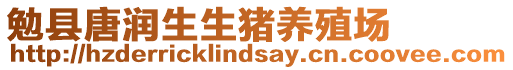 勉縣唐潤生生豬養殖場