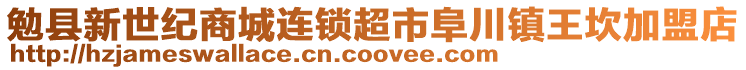 勉縣新世紀(jì)商城連鎖超市阜川鎮(zhèn)王坎加盟店