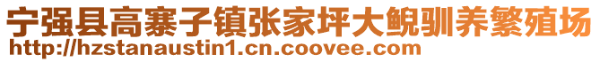 寧強(qiáng)縣高寨子鎮(zhèn)張家坪大鯢馴養(yǎng)繁殖場