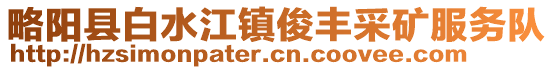 略阳县白水江镇俊丰采矿服务队