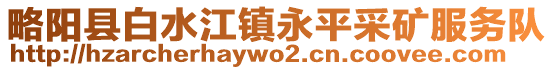 略陽縣白水江鎮(zhèn)永平采礦服務(wù)隊(duì)