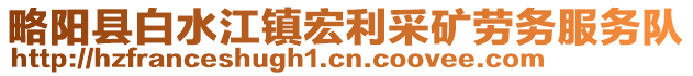 略陽(yáng)縣白水江鎮(zhèn)宏利采礦勞務(wù)服務(wù)隊(duì)