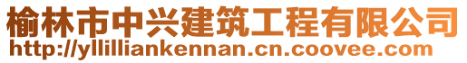 榆林市中興建筑工程有限公司