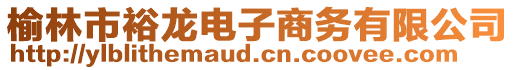 榆林市裕龍電子商務(wù)有限公司