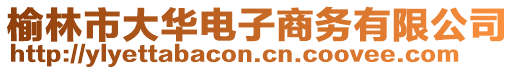 榆林市大華電子商務(wù)有限公司