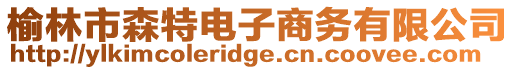 榆林市森特電子商務(wù)有限公司
