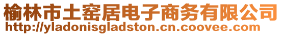 榆林市土窯居電子商務有限公司
