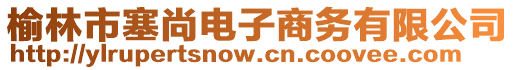 榆林市塞尚電子商務有限公司