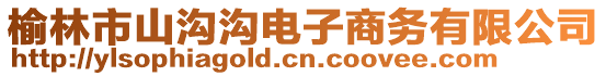 榆林市山溝溝電子商務(wù)有限公司