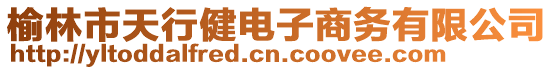 榆林市天行健電子商務(wù)有限公司