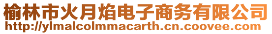 榆林市火月焰電子商務(wù)有限公司