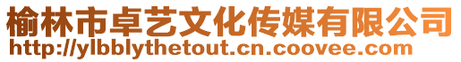 榆林市卓藝文化傳媒有限公司